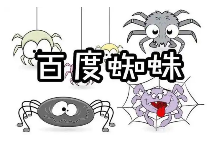 什么是百度蜘蛛？